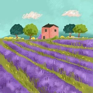 Meet your Posher, Charlotte